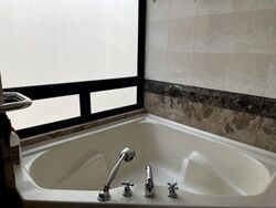 The Sterling (D21), Condominium #363794511